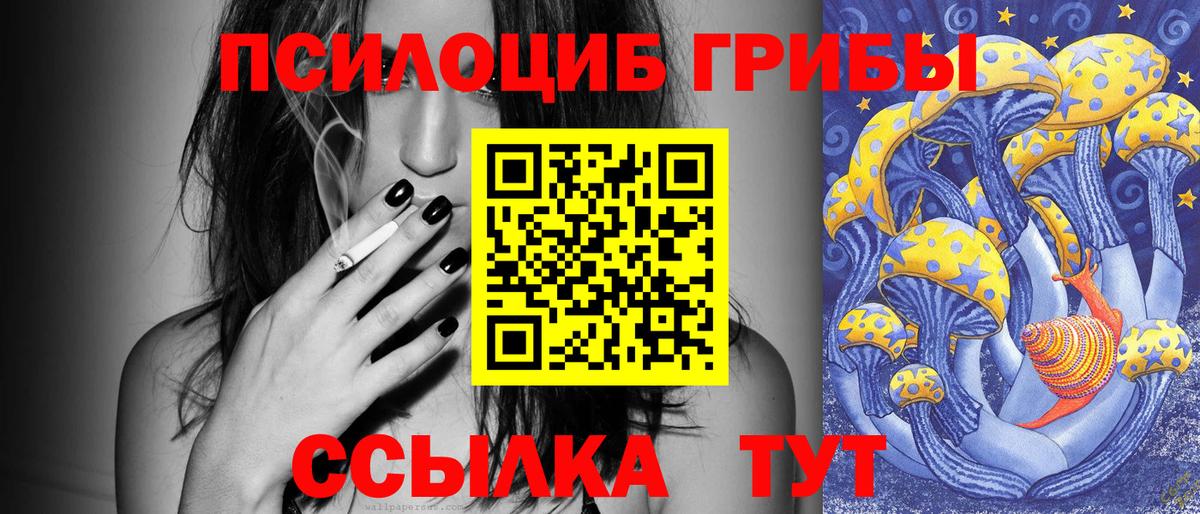 Галлюциногенные грибы Psilocybine cubensis Приморско-Ахтарск