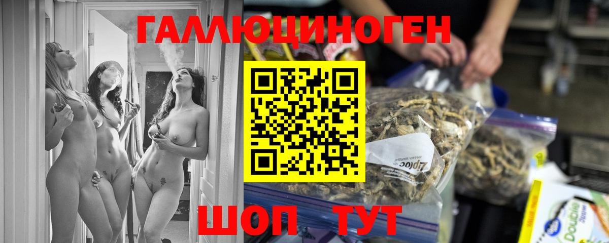 Псилоцибиновые грибы GOLDEN TEACHER  Вход с VPN  Приморско-Ахтарск 