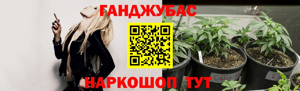 МАРИХУАНА сатива Приморско-Ахтарск