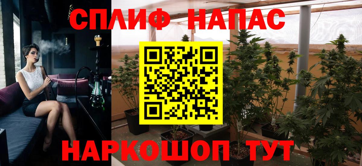 Бошки Шишки гибрид  Бошки Шишки семена  Приморско-Ахтарск  Вход с VPN  МАРИХУАНА MAZAR  Шишки марихуана THC 21% 